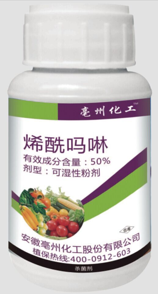 ϩ������