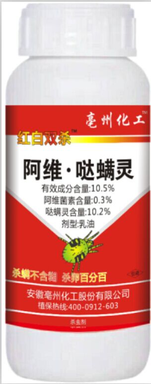 �t���p��-���S�}���`