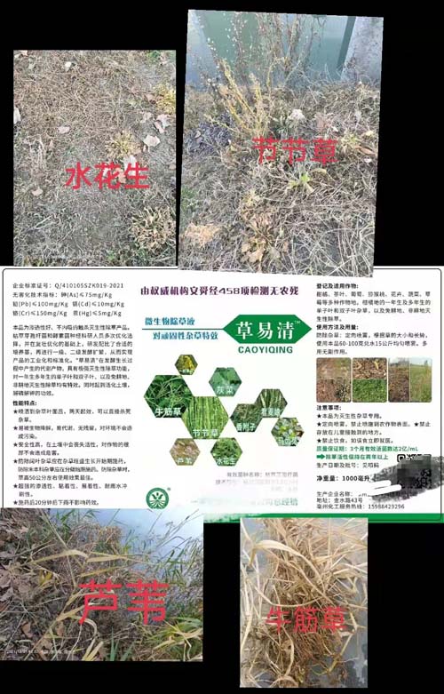 ΢������݄�