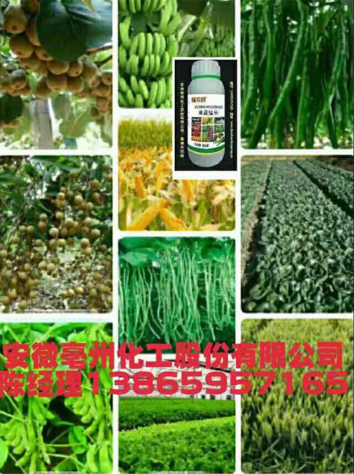 福農(nóng)民果蔬猛長——新一代果蔬增產(chǎn)水溶肥