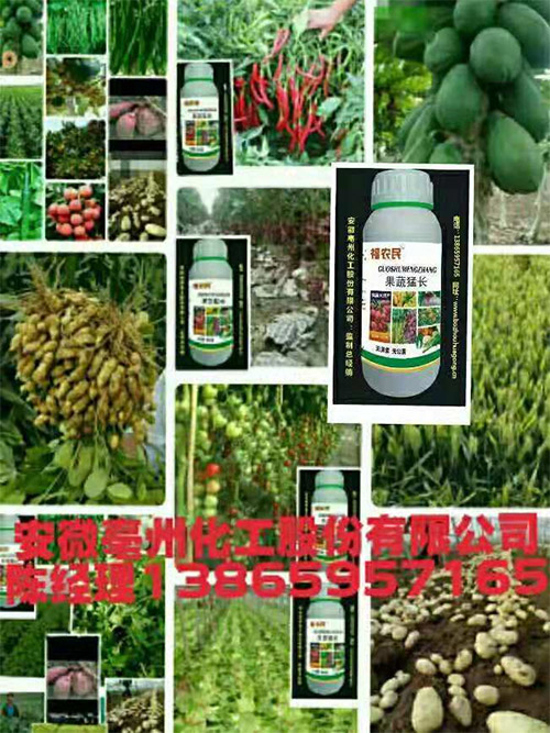 福農(nóng)民果蔬猛長——新一代果蔬增產(chǎn)水溶肥